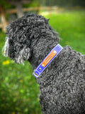Soft Leather Dog Collar with or without Personalization image 0