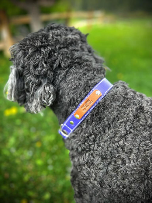 Soft Leather Dog Collar with or without Personalization image 0